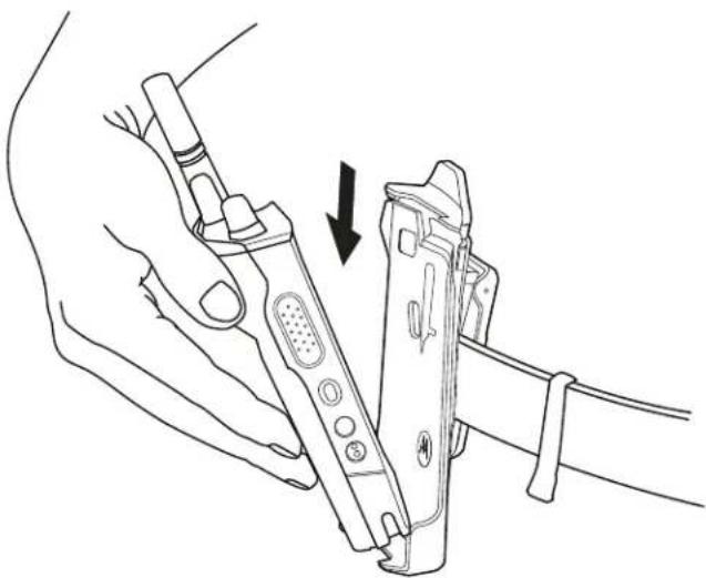 MOTOROLA MOTOTRBO Ion - Procedure: - 1