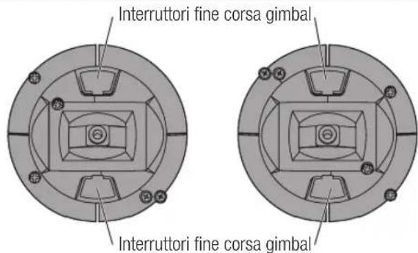 SPEKTRUM NX20 - Limincorsagimbal - 1