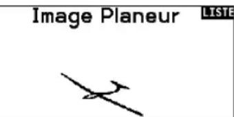 SPEKTRUM NX20 - Image planeur - 2
