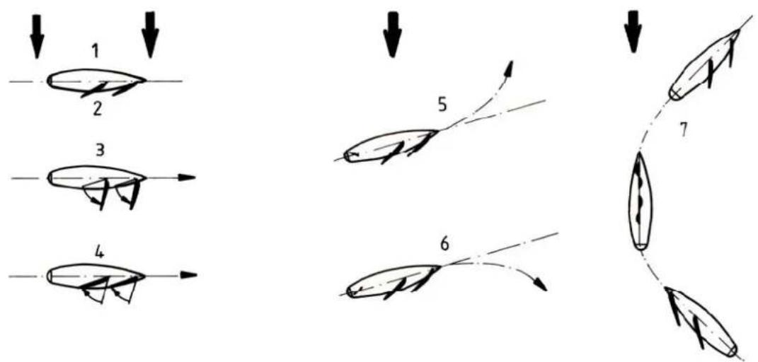 Krick Comtesse - Stückliste Antriebssatz - 5