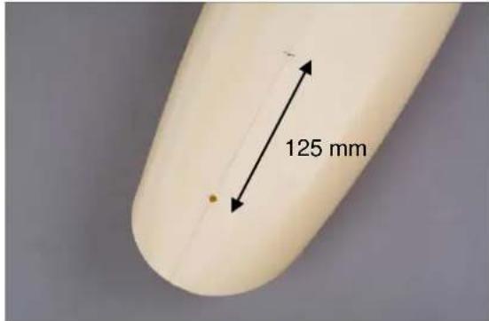 Krick Comtesse - The construction of the model - 5