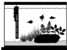 Fluval E50 - Eisestempfehlenswert,dasAquariummit Wasserzubefüllen ,dasannahernddiegewünschte Temperaturhat.diesieereichenmöchten. - 1