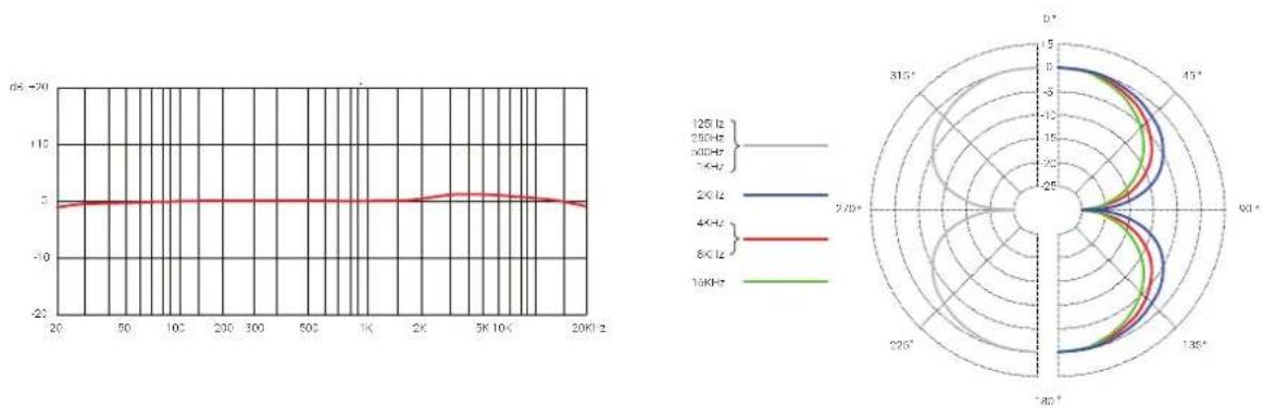 SE Electronics VR2 - Technische Daten - 1