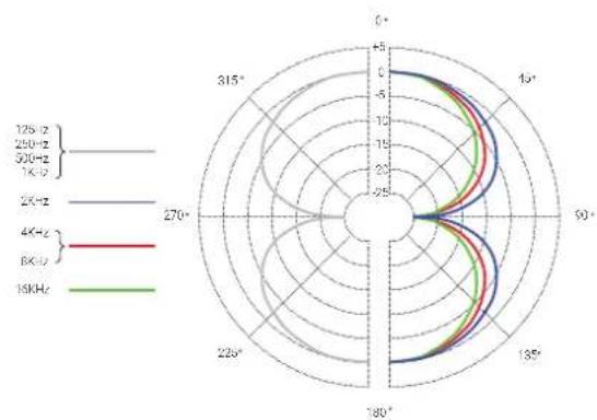 SE Electronics VR2 - Pulizia del microfono - 2