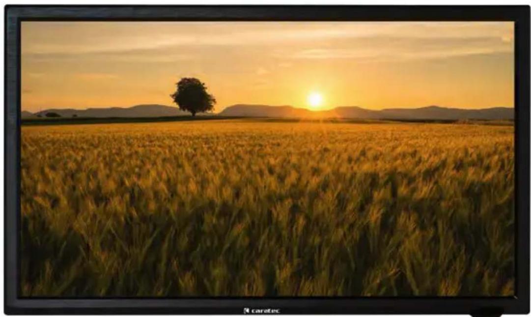 Caratec Vision CAV190B - Notice d'utilisation - 1