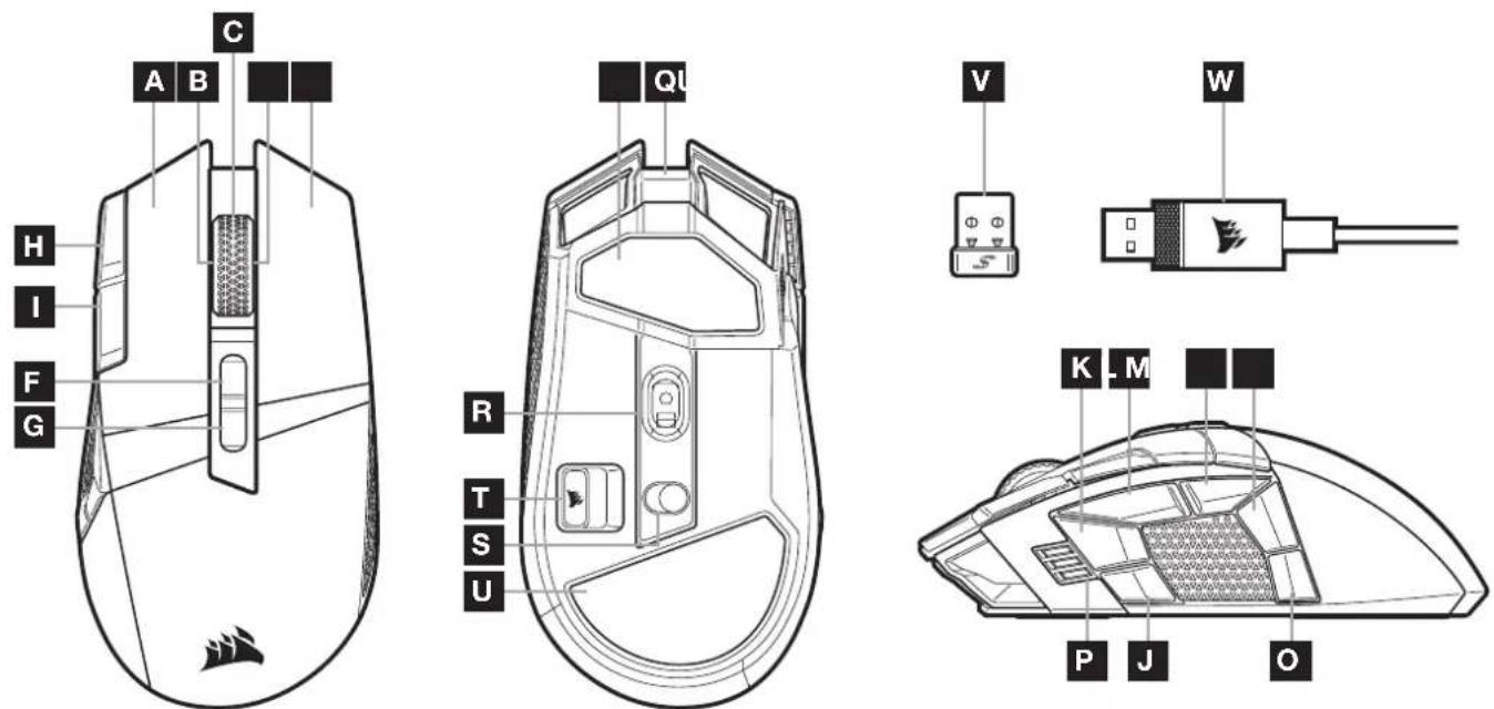 CORSAIR Darkstar Wireless - KENNENLERNEN DER MAUS - 1