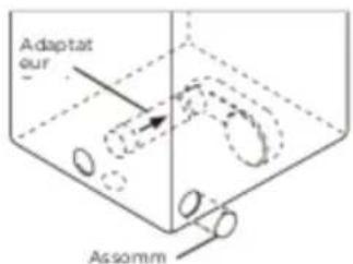 Adaptat our Assomm