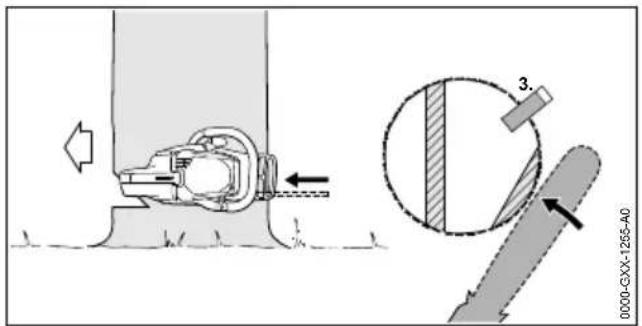 STIHL MSE 141 C - Abattage d'un arbre normal de faible diamètre de tronc - 2