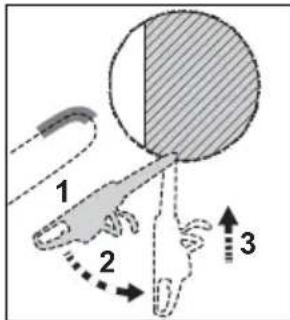 1 2 3