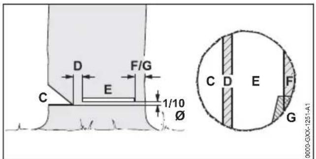 STIHL MSA 60 C - Basic information on felling cut - 1
