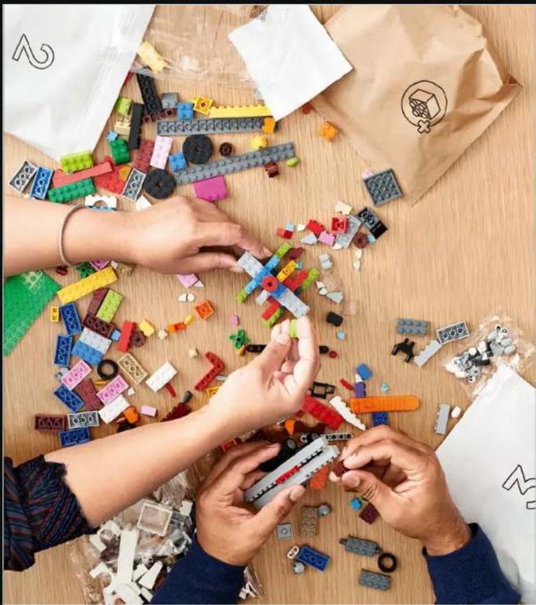 LEGO Ideas 21347 - 1