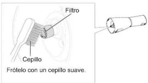 Filtro Cepillo Frótelo con un cepillo suave.