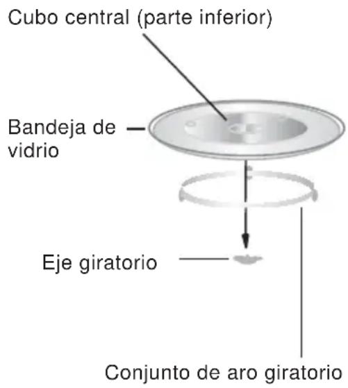 NODOR NorChef MW 25 DG DB - Instalación del Plato giratorio - 1