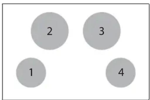 BARAZZA 1PIDC80N - Informations pour les plaques de cuisson électriques à usage domestique - 1