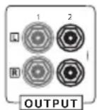 VINCENT SV-200 - Protective caps - 1