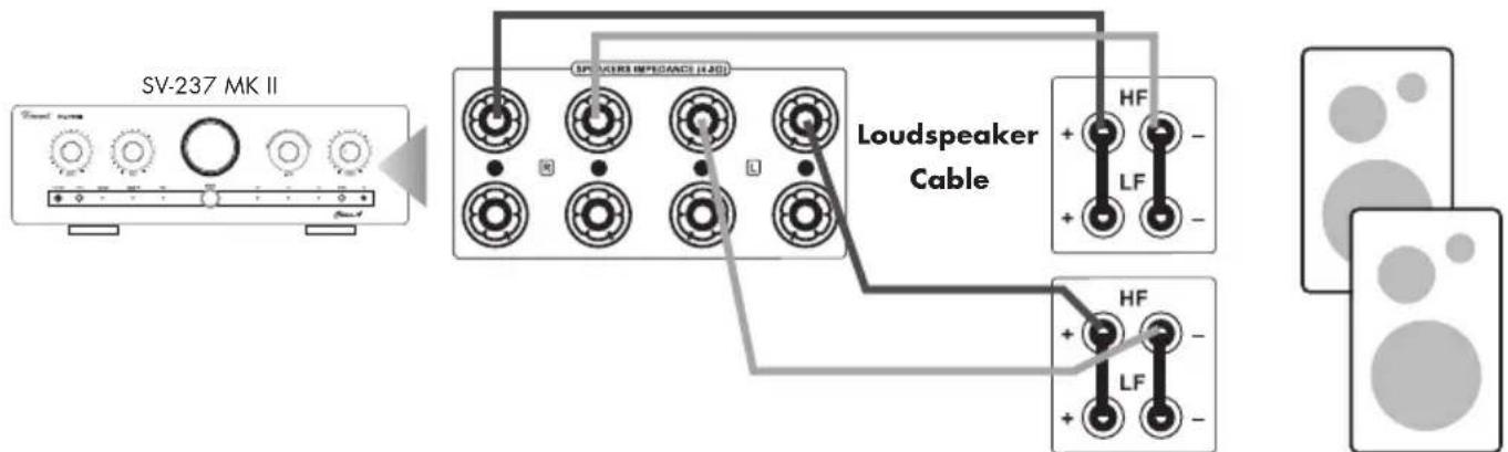 VINCENT SV-237 MKII - CONNECTION OF THE LOUDSPEAKERS - 1