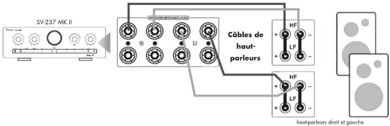 VINCENT SV-237 MKII - BRANCHEMENT DES HAUT-PARLEURS - 1