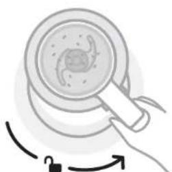 NUTRIBULLET Triple Prep System - nutribullet® seckalica za usitnjavanje hrane - 9