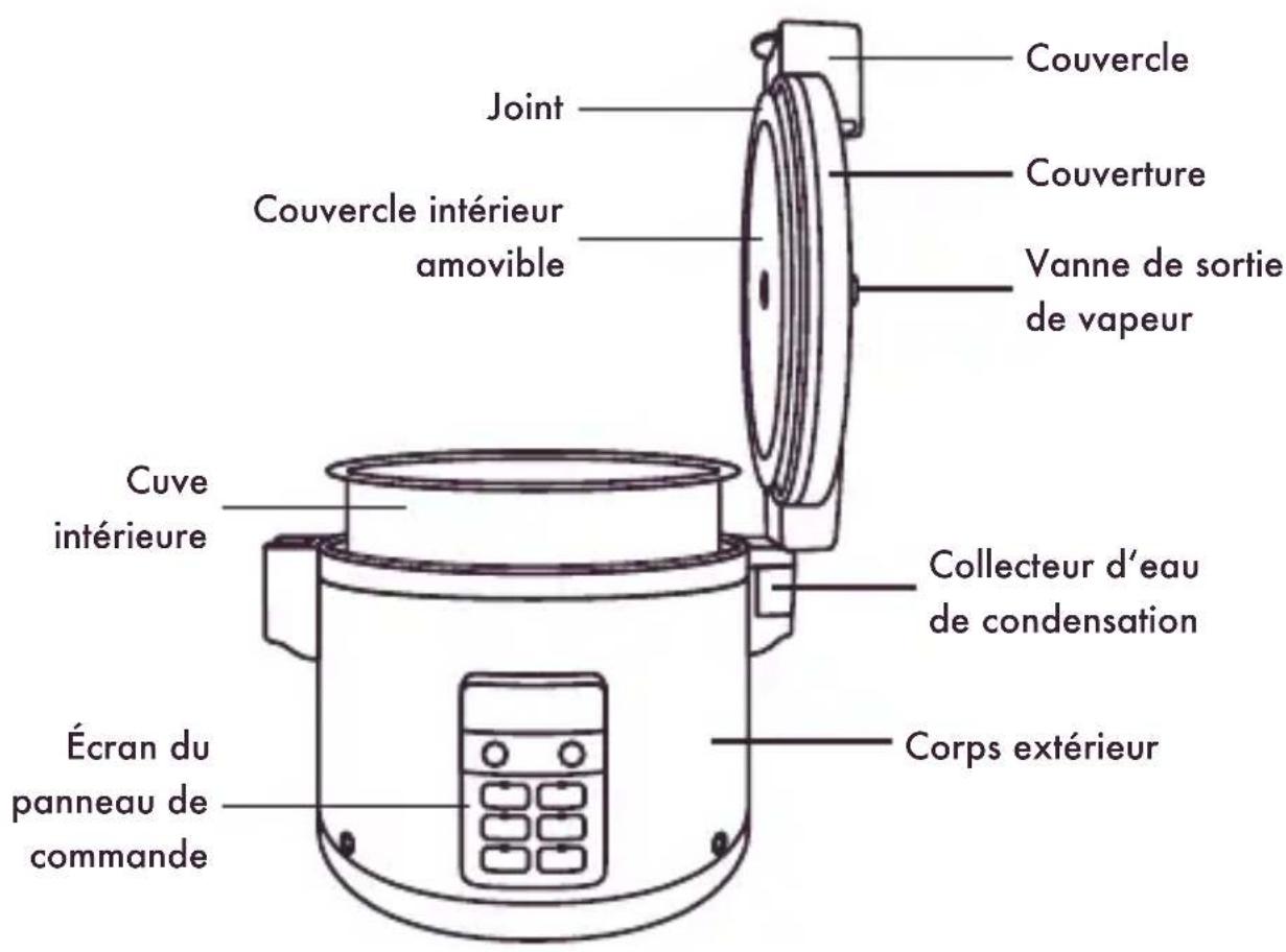 Reishunger Profi Gastro - COMPOSANTS - 1