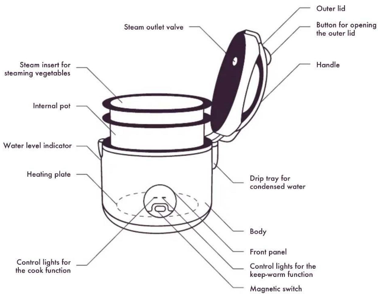 Reishunger Basis - DISPOSAL - 3