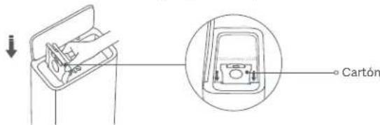 Cartón