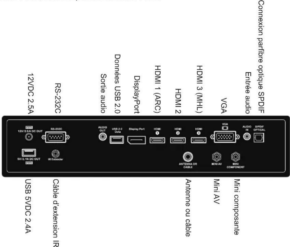 Peerless-AV UltraView UV552 - Cordons de Connexion - 1