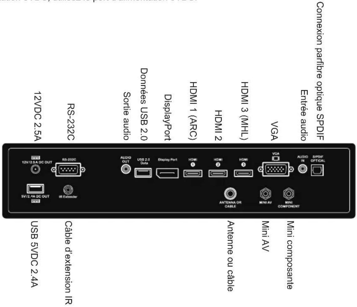 Peerless-AV UltraView UV492 - Cordons de Connexion - 1