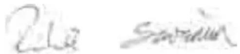Flex MS 1706 FR - C ∈ 06 - 1
