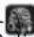 Starmix ISP iPulse H-1235 - Αλλαγή του φίλτρου προστασίας μοτέρ - 1