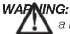 DEWALT DWE4233 - Additional Safety Rules for Grinders - 1