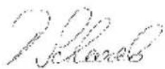 Baier BST 250 - EC Declaration of Conformity - 1