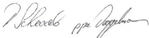 Baier BSS 306L - ELivastavusdeklaratsioon - 1