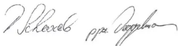 Baier BSS 306L - EUkonformitásinyilatkozat - 1