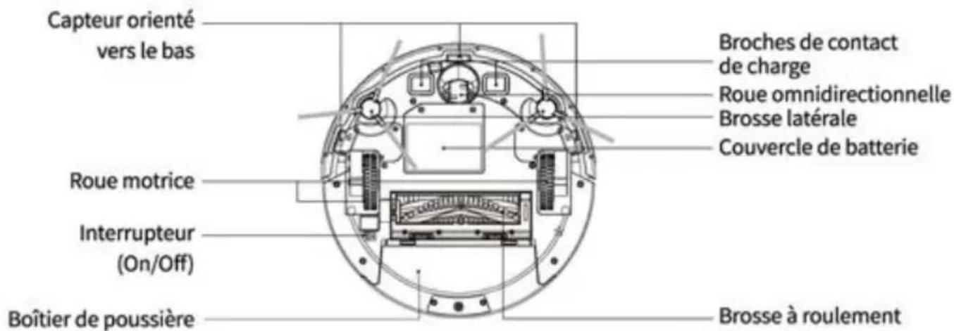 Capteur orienté vers le bas Broches de contact de charge Roue omnidirectionnelle Brosse latérale Couvercle de batterie Roue motrice Interrupteur (On/Off) Boîtier de poussière Brosse à roulement