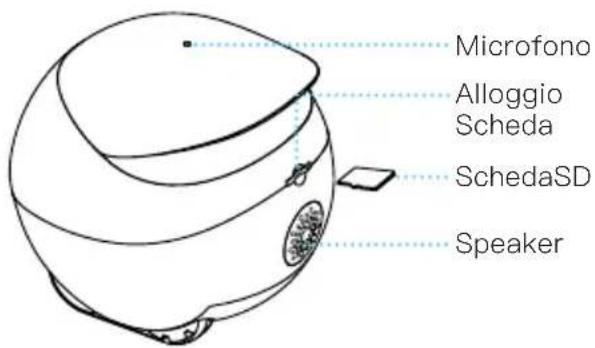 Microfono Alloggio Scheda SchedaSD Speaker