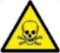MSW AVR 5500F - CAREFULLY READ AND UNDERSTAND THIS MANUAL BEFORE STARTING THE WORK. - 11
