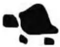 Efco Tuareg 92 - THROTTLE LEVER - 3