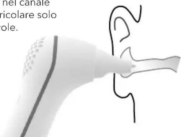 Earbreeze EBD.201 - Pericolo di danneggiamento! - 2