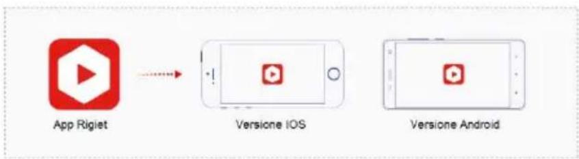Dobot Rigiet - Modalità di download e requisiti di sistema - 1