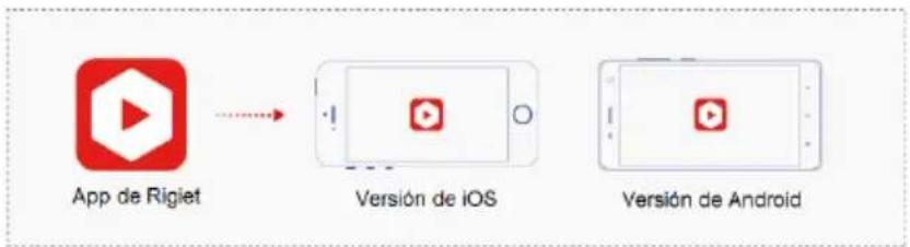 Dobot Rigiet - Modo de descarga y requisitos del sistema - 1