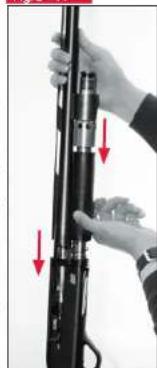 WINCHESTER SX4 - ASSEMBLAGE - 1
