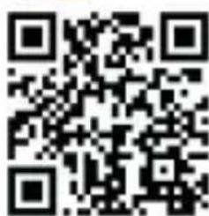 Rexing S1 - Check us out here - 8