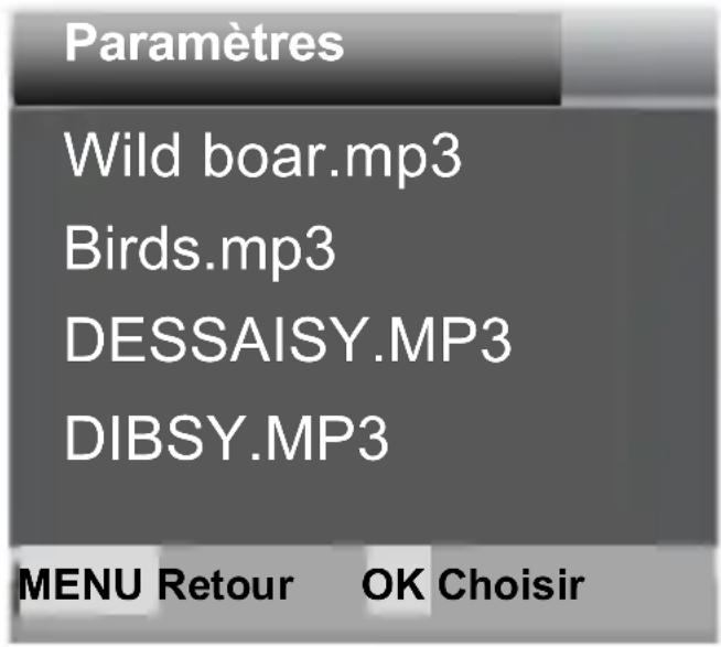 Paramètres Wild boar.mp3 Birds.mp3 DESSAISY.MP3 DIBSY.MP3 MENU Retour OK Choisir
