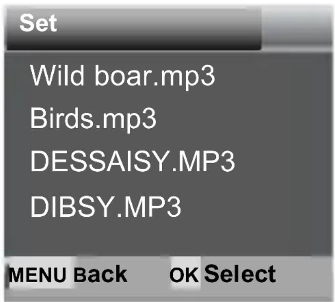 Rexing H3 - Timed play sound mode - 2