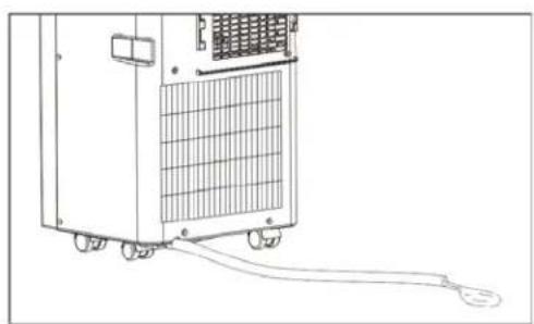 Wood's AC Torino - B. - 11