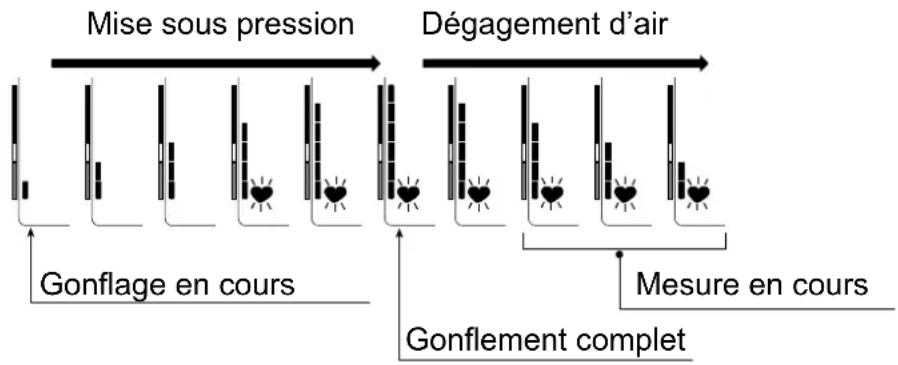 graph LR A["Gonflage en cours"] --> B["Mise sous pression"] B --> C["Dégagement d'air"] C --> D["Mesure en cours"] D --> E["Gonflement complet"]
