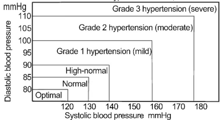 A&D UA-767F - Blood Pressure Variations - 1