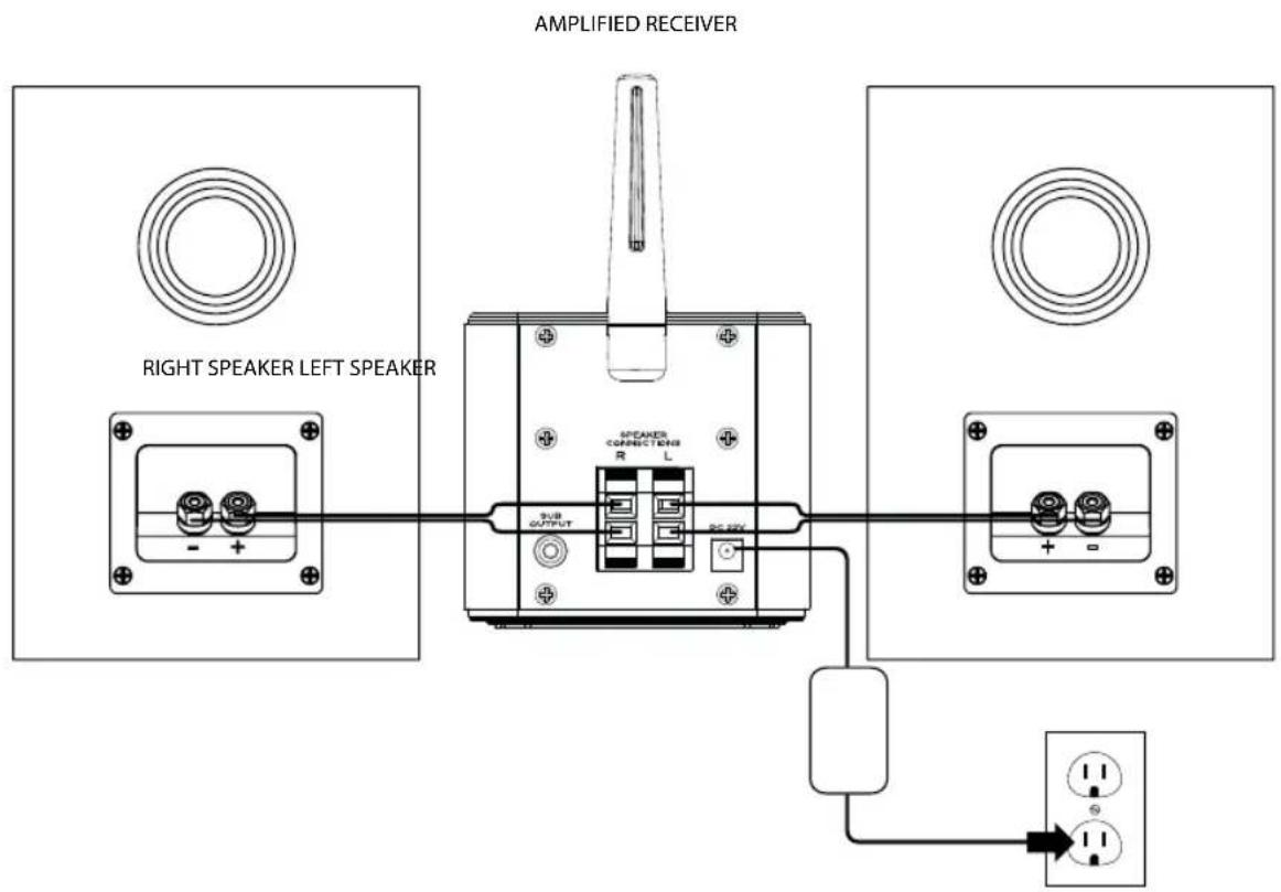 Eos Converge - Kabelverbindung zum Empfänger mit integriertem Verstärker - 1
