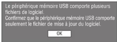 Le périphérique mémoire USB comporte plusieurs fichiers de logiciel. Confirmez que le périphérique mémoire USB comporte seulement le fichier de mise à jour du logiciel.
