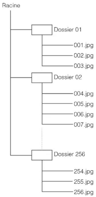 YAMAHA BD-S1900 - Structure des dossiers contenant des images fixes (JPEG) - 1